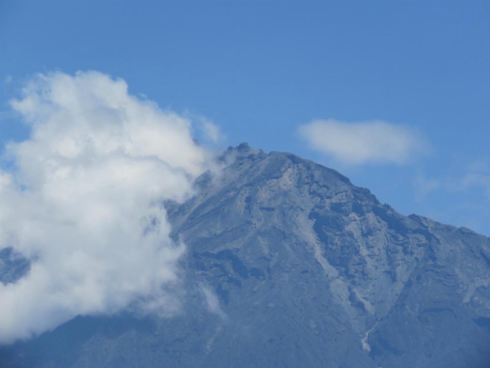 Boulevard Inn Mt Meru Image 11