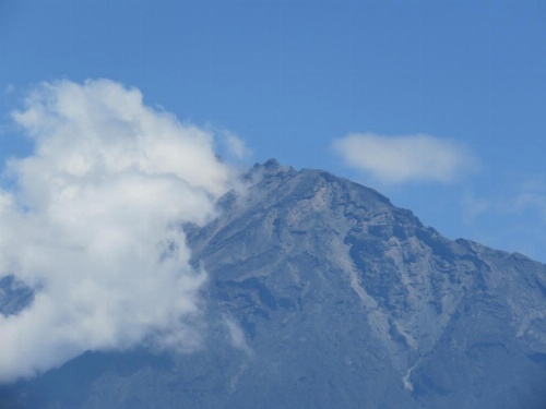 Boulevard Inn Mt Meru image 11
