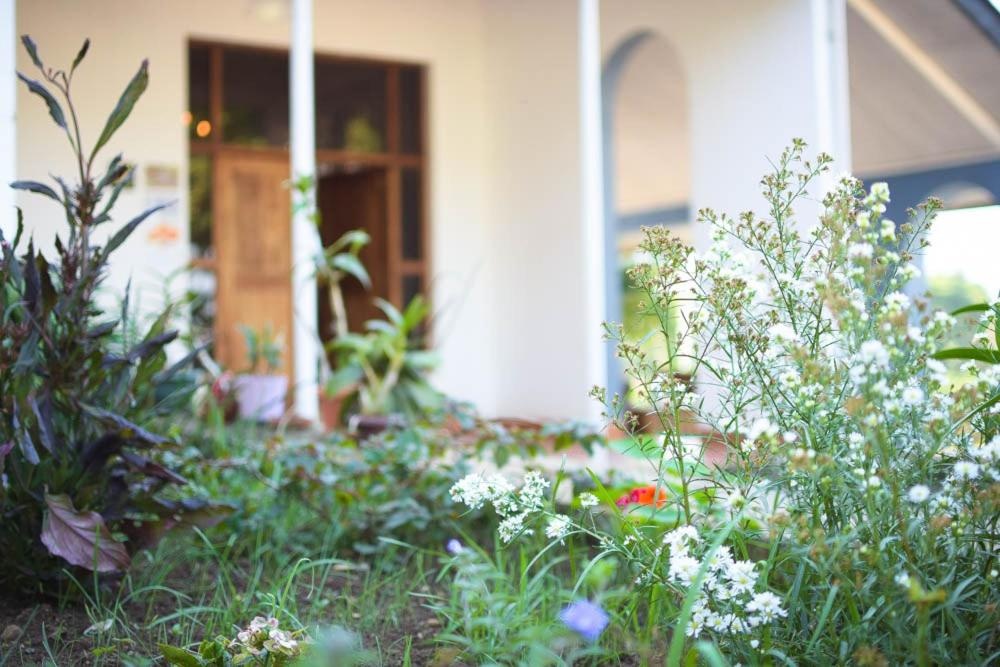 Boulevard Inn Mt Meru