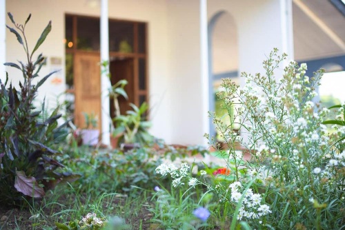 Boulevard Inn Mt Meru image 9